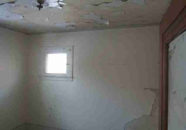 4308 Tyler 2-14-19 11.jpg